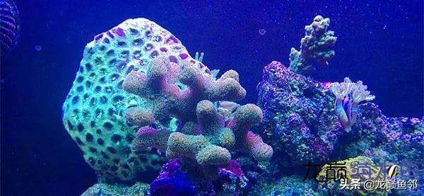 说出来都是泪！只有新下海的人才能体会这种痛，简直是全军覆灭