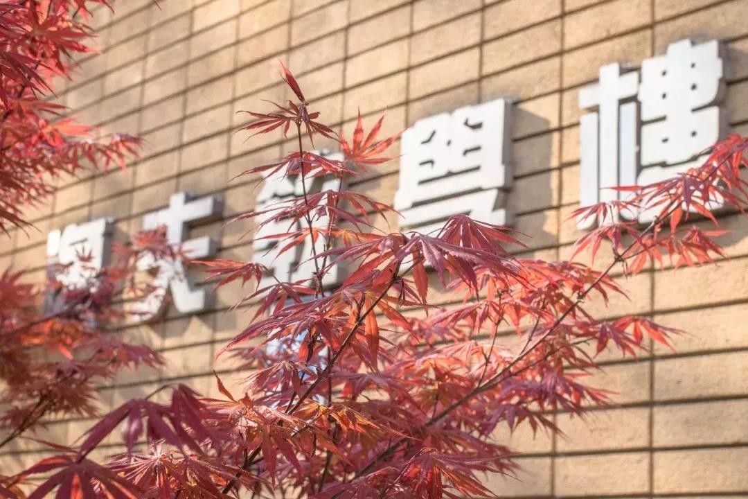 重磅排名发布！北京外国语大学高居外语类榜首，坐拥*级A**教育质量！