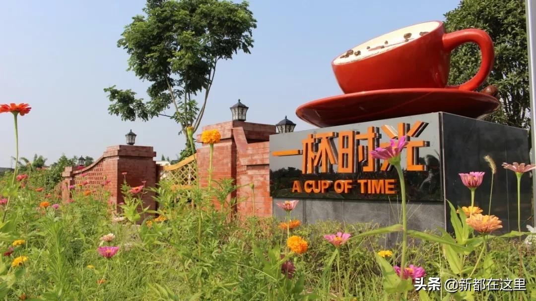 周末新都耍了一圈，朋友都以为我出了趟国