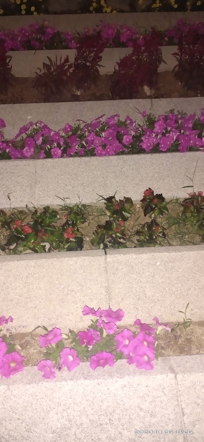 珠海市金湾区三灶二号闸,珠海金湾三灶2号闸