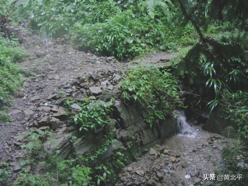 正安县何家山古道,贵州遵义安场古道