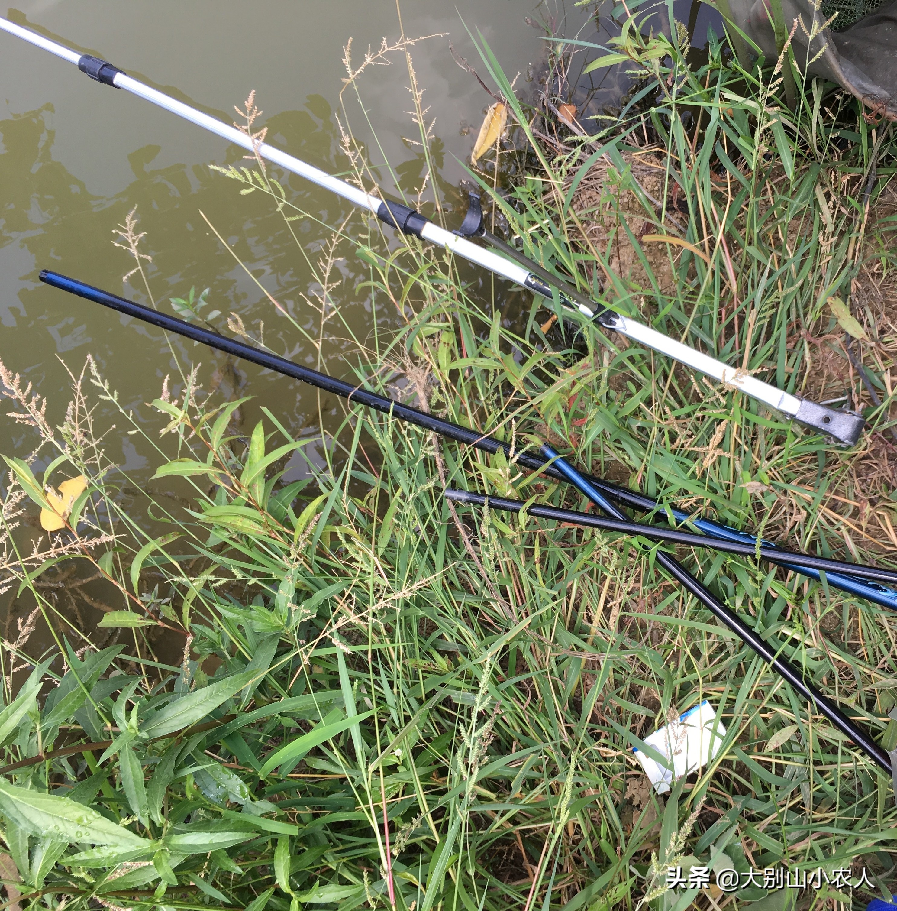 野钓老是锚鱼上来怎么回事,钓鱼总是锚鱼