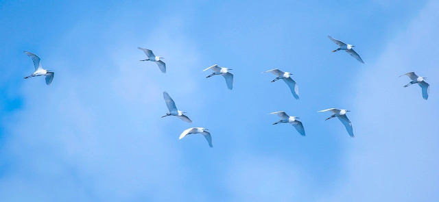 海南最美海湾石梅湾,海南最美的8大海湾