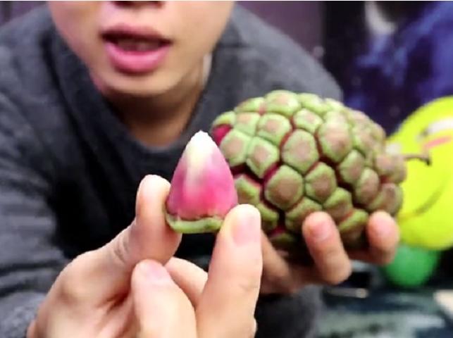 试吃恶魔果实视频,试吃恶魔果实