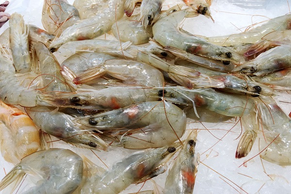 头发早白吃什么有改善,头发白了身体缺少什么