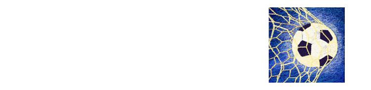 泰达足球队赛后庆祝,泰达对阵建业胡睿宝