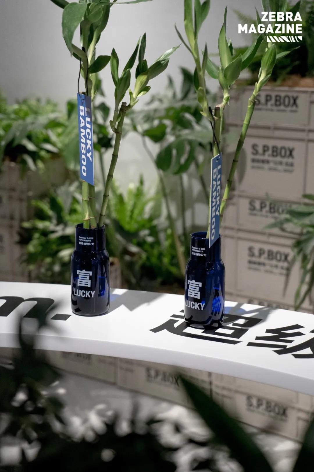 淮海路顶流出片地!21岁、重新回归的「上海广场」好好拍哦