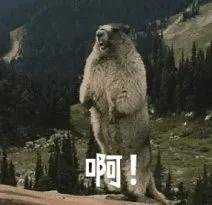 “老公，月嫂钱我自己出，别让咱妈来了！”