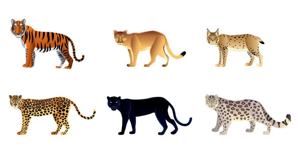 生态平衡重建的阵痛，不请自来的二师兄