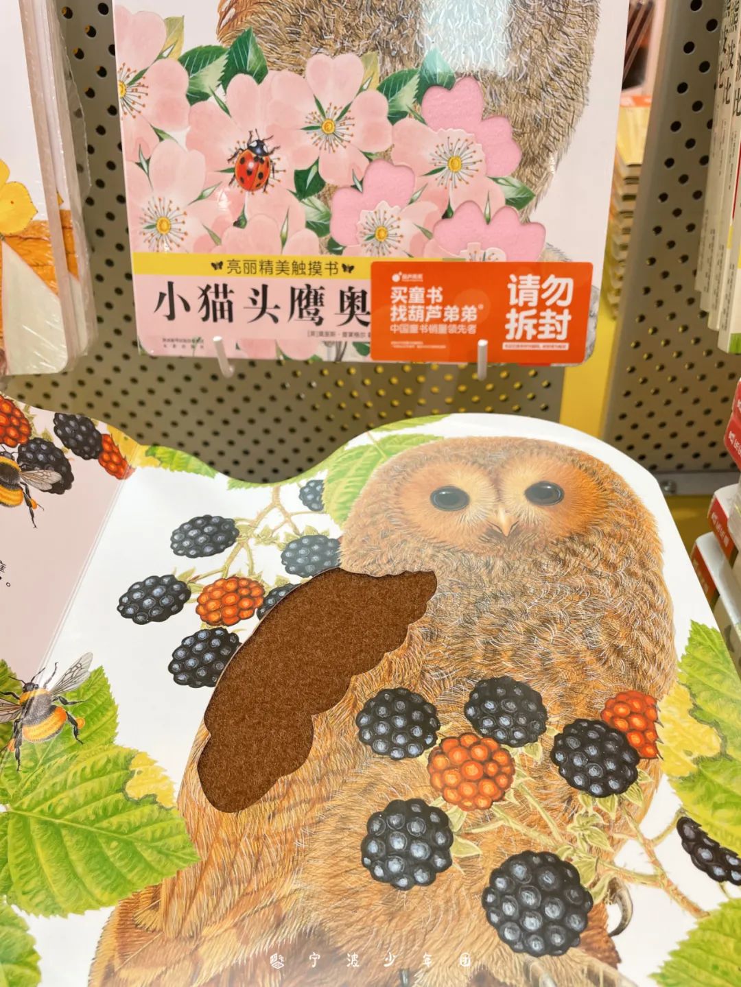 宁波亲子图书馆打卡,宁波亲子书店