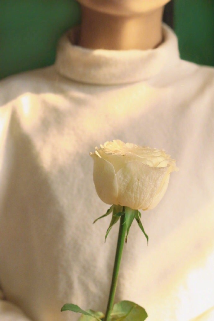 晚安谈爱情,晚安谈恋爱的句子