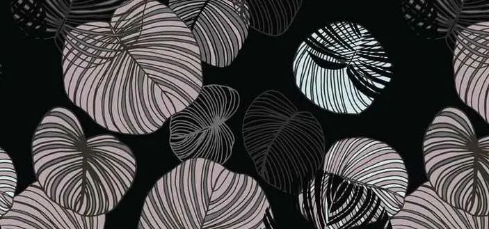 上了n次热搜的这款发型，细软油的我居然也能拥有