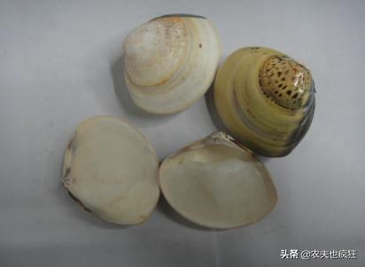 北方人过冬老照片,20年前的南方农村冬天