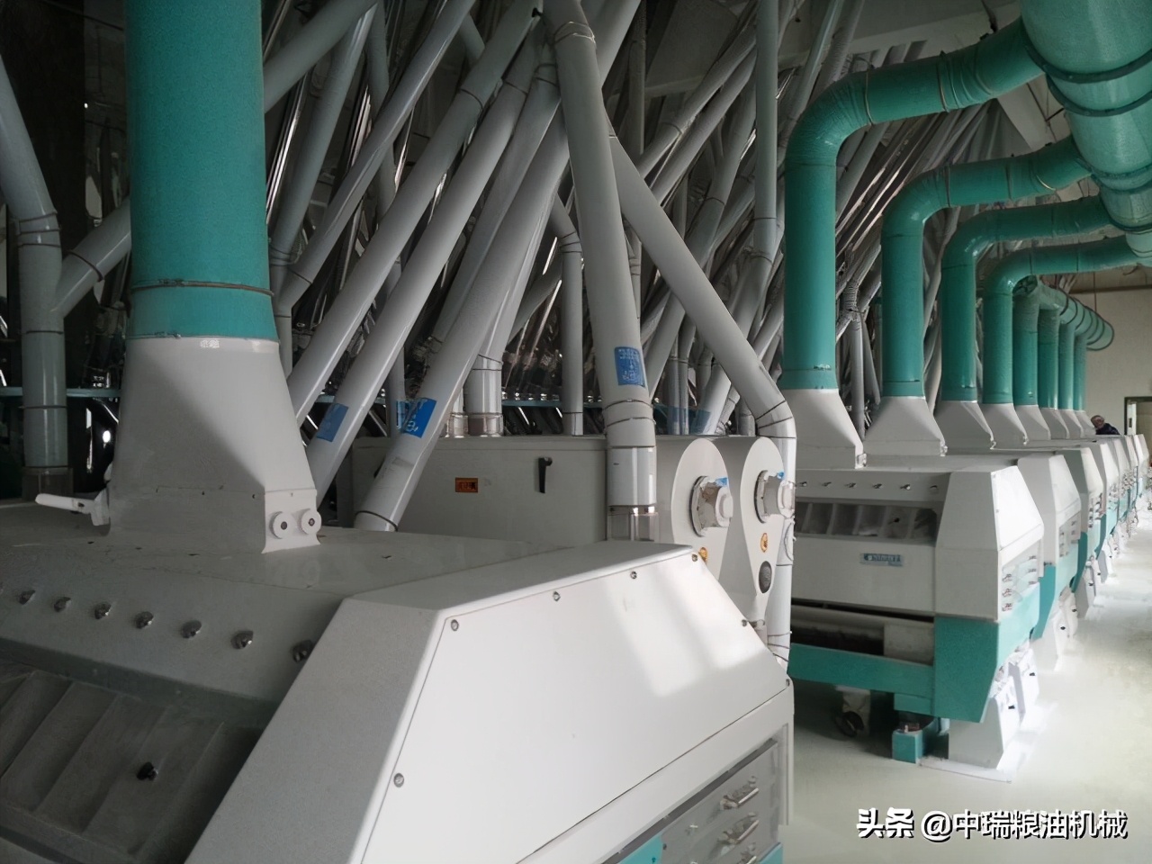 家用全自动小麦面粉机,全自动新型小麦面粉机多少钱一套