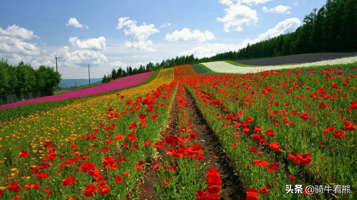怎么去学习股票,如何学习基金和股票理财投资
