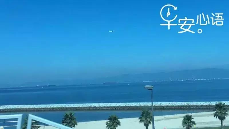 因同一件事违规，大庆多名干部受处分