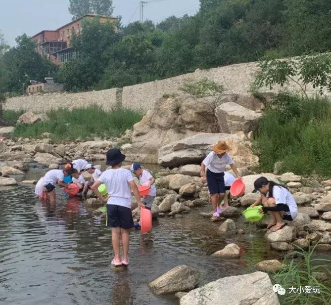 想了解孩子夏令营的营地生活,全国夏令营十大排名户外体验
