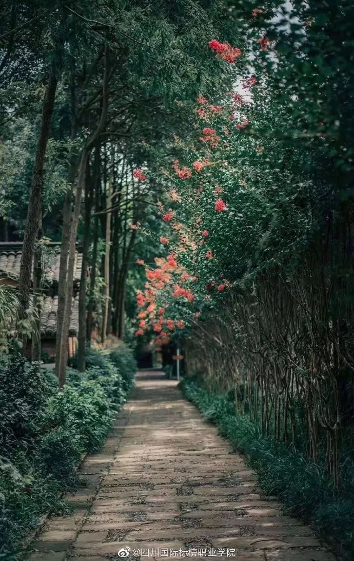 成都哪个学校是4a级景区,四川成都5a级景区学校