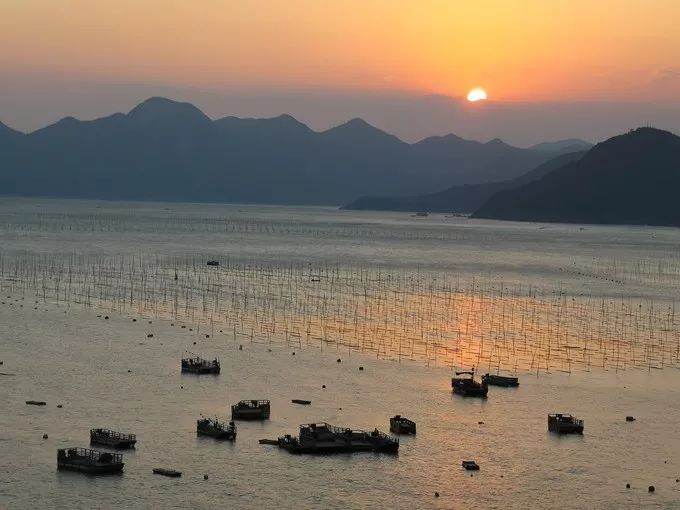 霞是光，浦是海：光与海的对话，吟唱出最美的滩涂