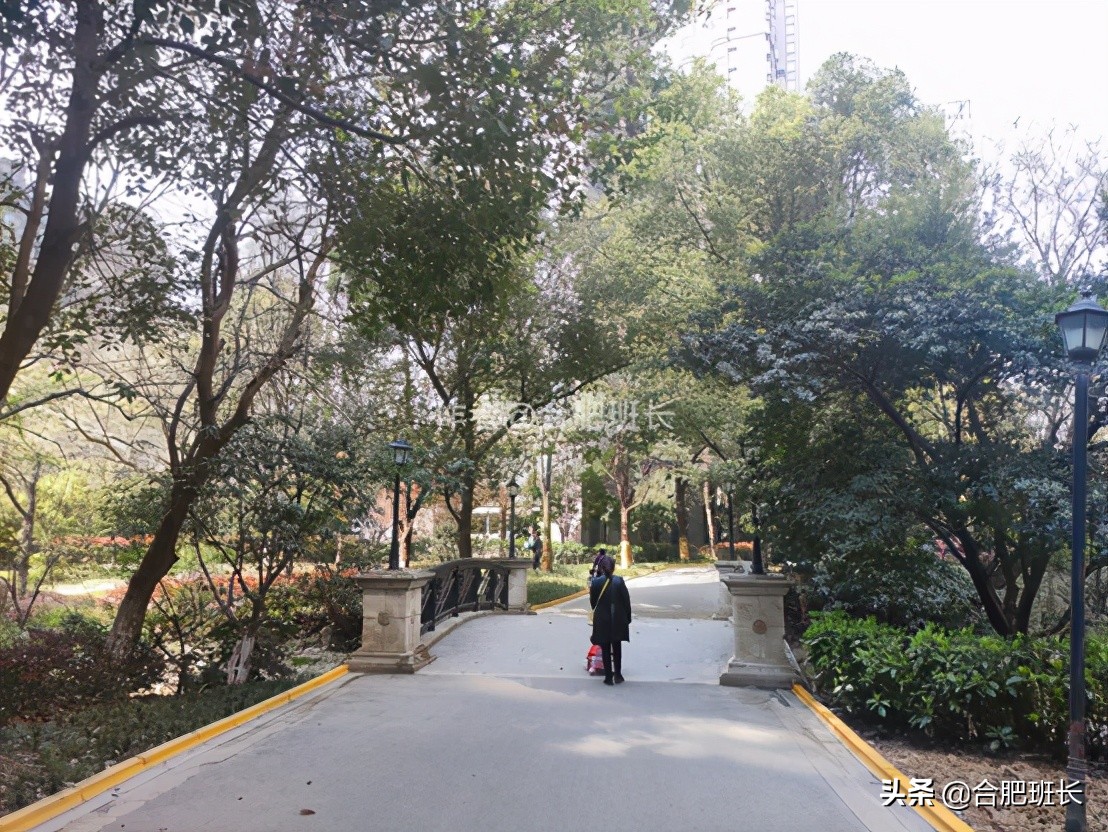 合肥水景房推荐,合肥绿地海顿公馆是住宅吗