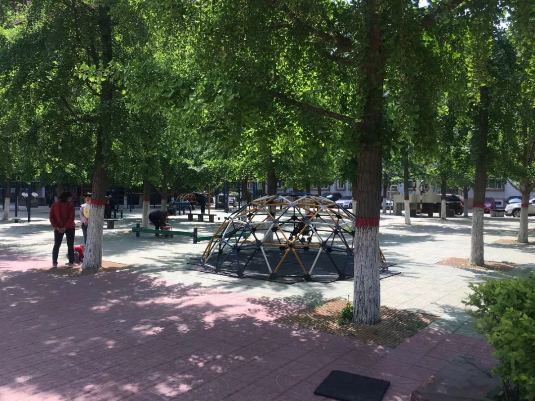 实探学区房,实探一线学区房