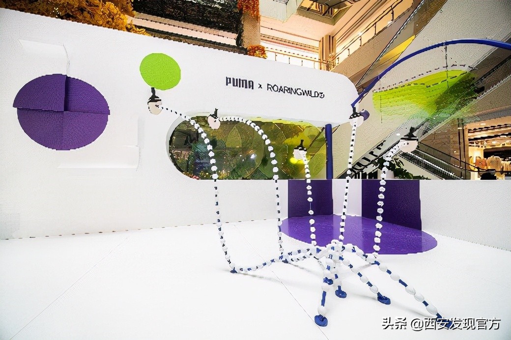 pumaroaringwild绯诲垪,pumaxroaringwild鑱斿悕