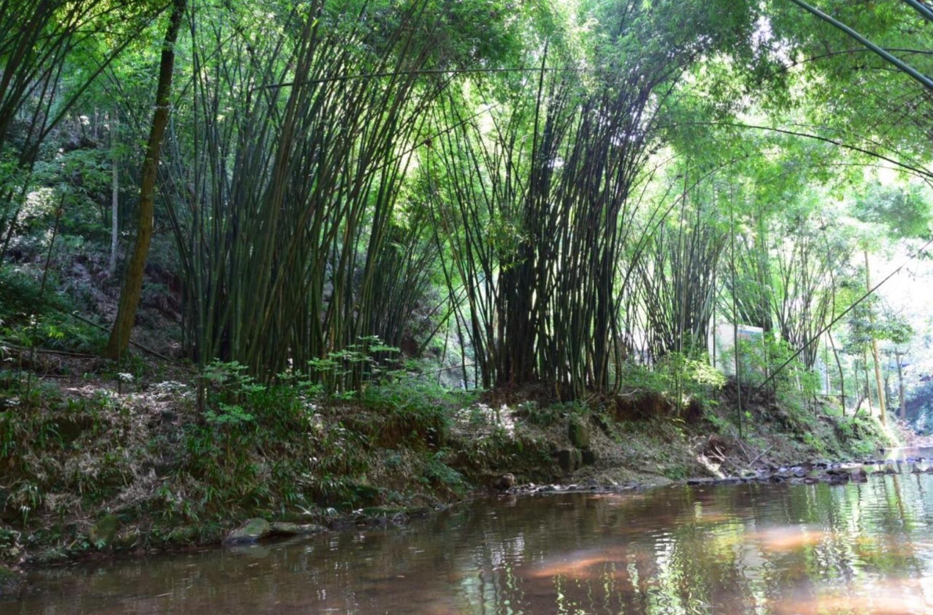 成都一天来回的爬山景点,成都一天爬山来回的景点