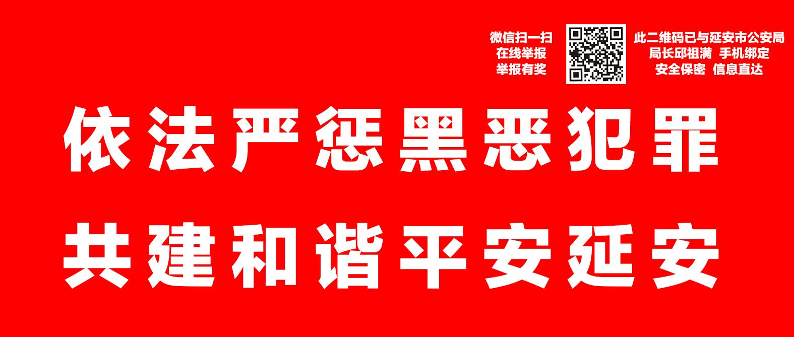 延安群星演唱会官方直播现场,2019延安群星演唱会