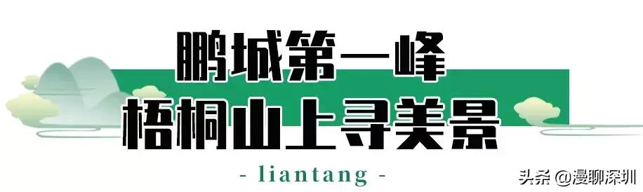 深圳空气中氡含量全国第一,深圳市负氧离子大概是多少