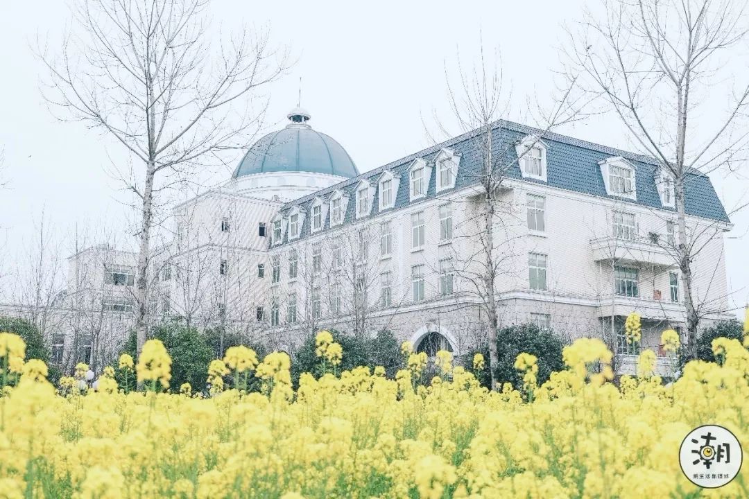 閿﹀煄鐨囧璐垫棌瀛﹂櫌,鎴愰兘閿﹀煄璐垫棌瀛﹂櫌