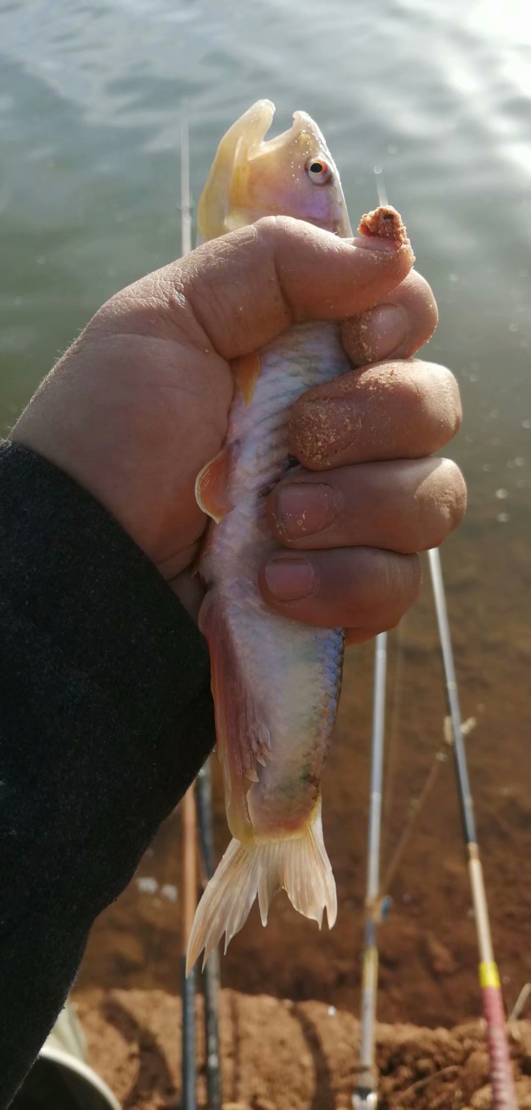 钓鱼新手有必要买偏好点的渔具吗,野钓一年渔具花费