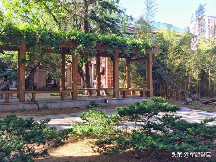 大连八七疗养院战友,大连市八七疗养院的故事