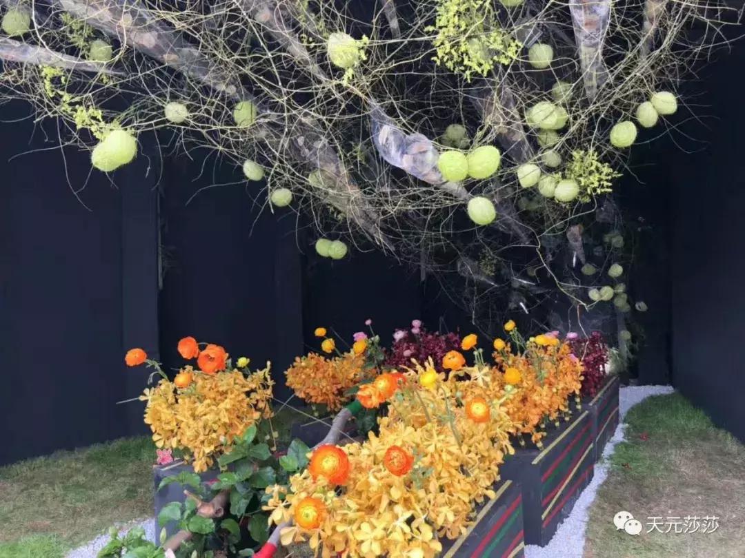 共赴盛会活动,香港国际花卉展