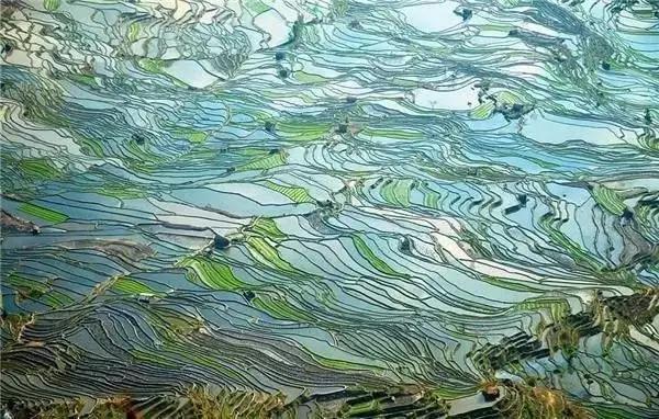 醍醐灌顶文章,醍醐灌顶的文章四句话