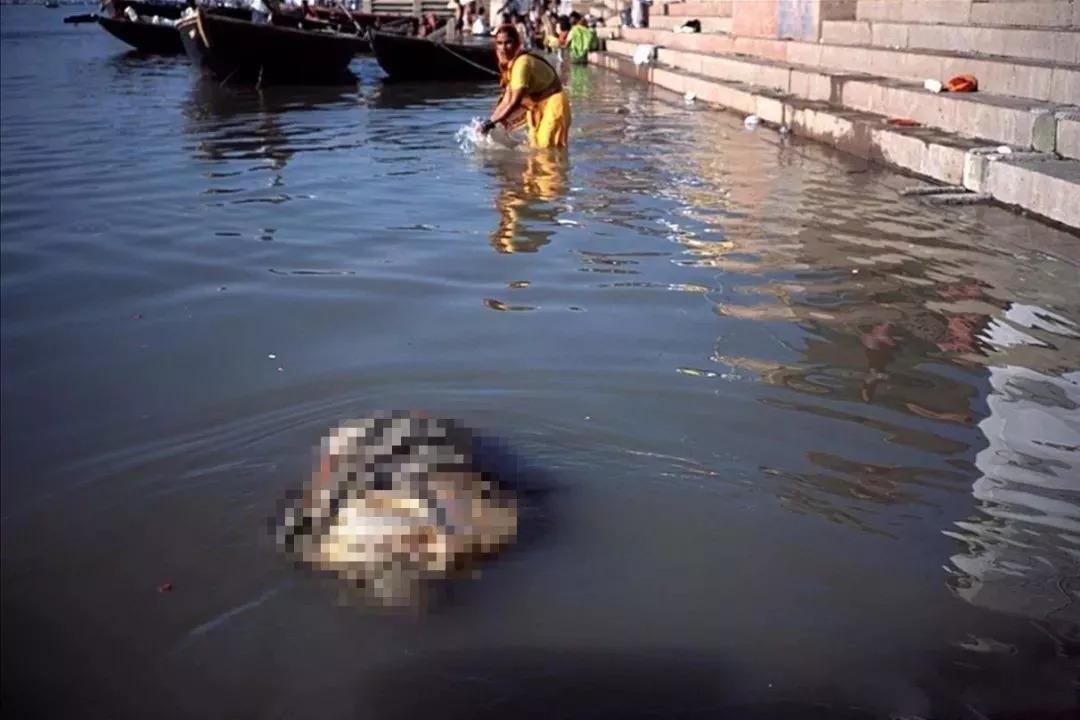 恒河里会有新冠病毒吗,印度恒河水能杀死新冠病毒吗