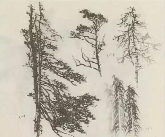 缠枝、挺杆、屈节、钮裂、一棵树如何画？看了这篇你绝对能学会