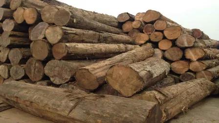 中古风格柚木,柚木高级金黄色