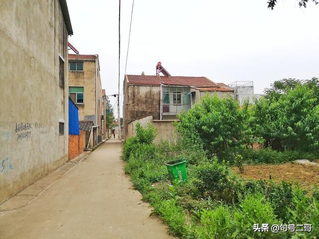 湖北省云梦县美丽乡村行,云梦伍洛美丽乡村