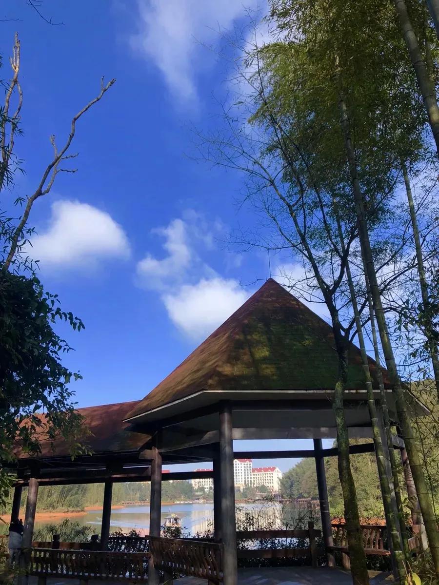 天岛湖国际旅游度假区怎样,天岛湖国际养生避暑度假区