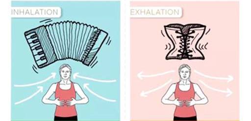 为什么练腹肌的时候腰会痛,练腹肌时腰部酸痛还应该继续吗