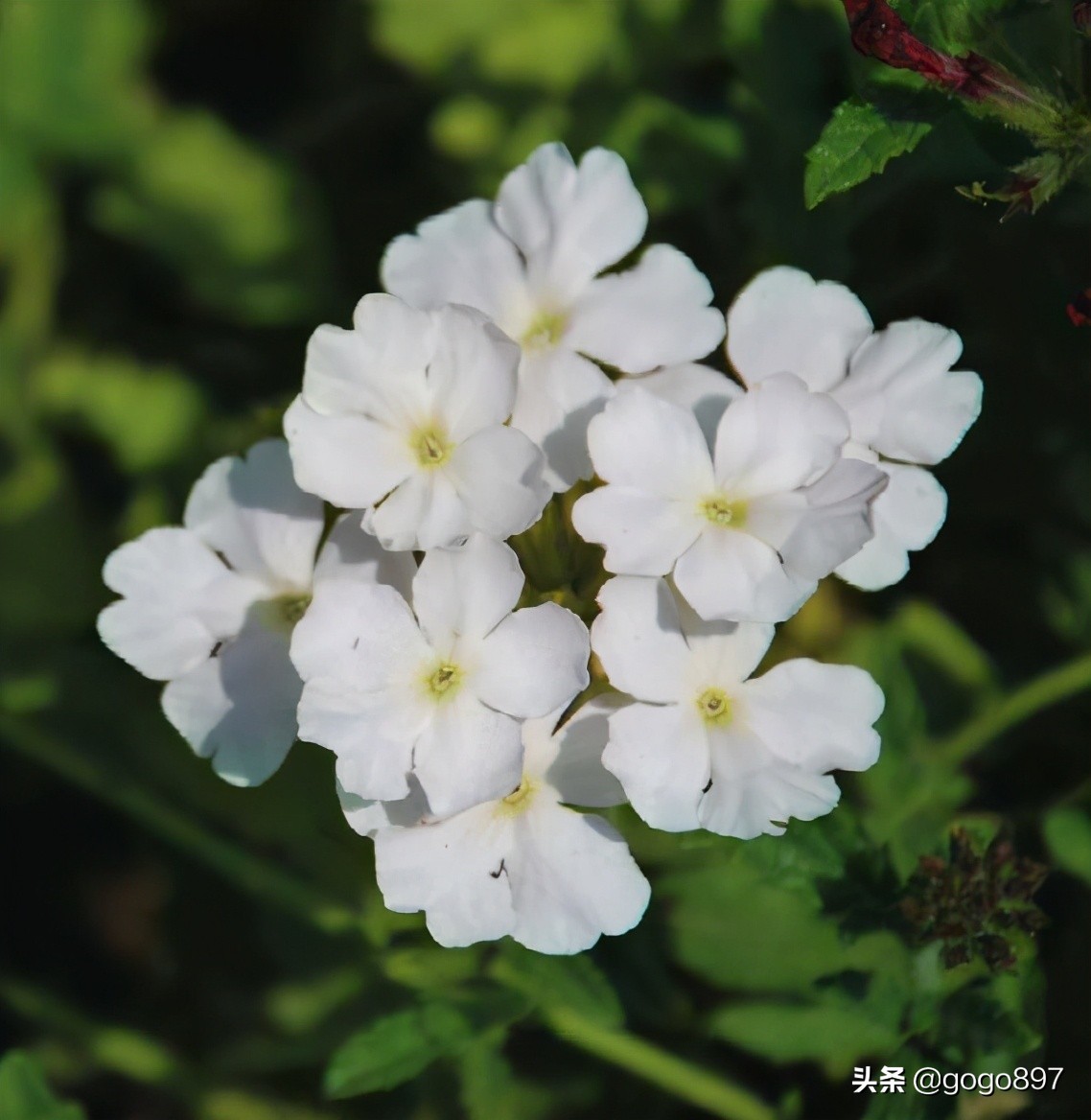 美女图片,美女小姐姐