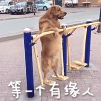 帮你整理了20部必看好片,成年人必看的10部片子