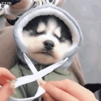 医美做什么能永远不长痘,脸很多痘坑做什么医美