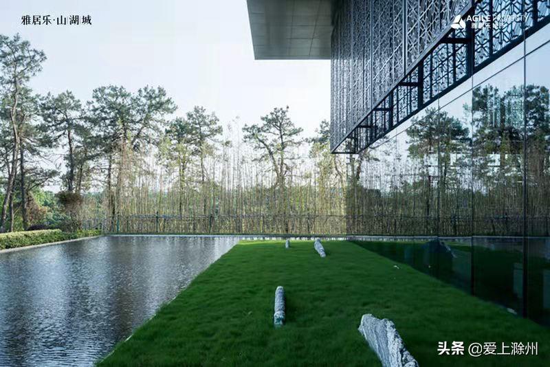 雅居乐品牌焕新,雅居乐有什么产品