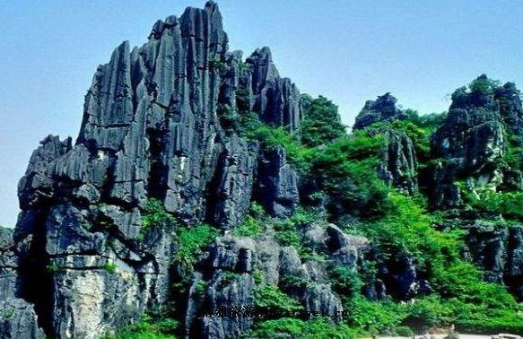 *江阳**景点大全22个景点中免费的有几个？