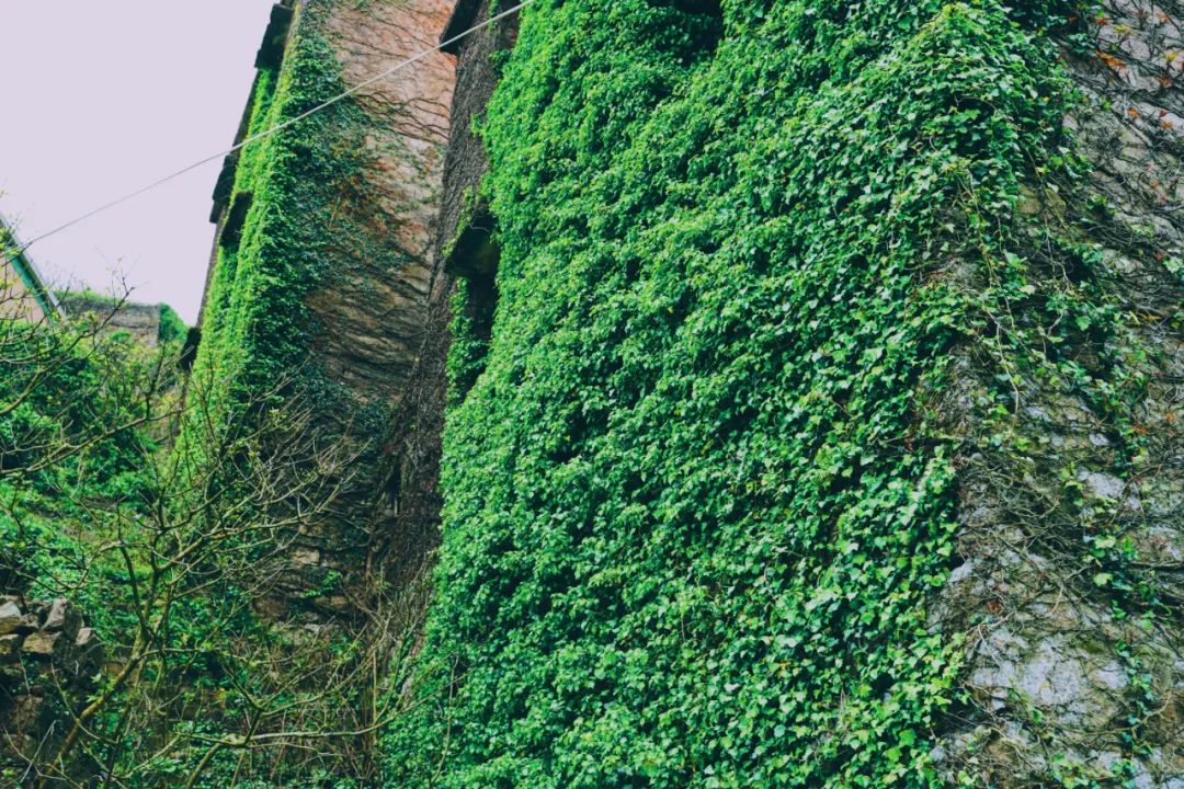 好久不见，嵊泗想念——一场色彩之旅