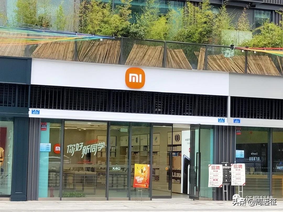 鏁欏煿宸ㄥご鐜扮姸,鏁欏煿甯傚満椋庢毚