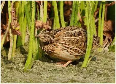 比较靠谱的致富项目,100个能赚钱的好项目