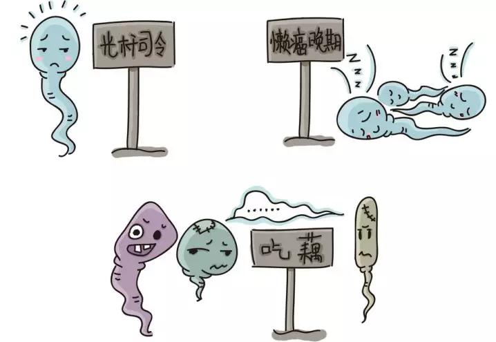 精子离开男性身体后，还能活多久？没投胎成功的都去哪了？答案是