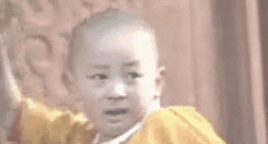 童星现状对比特别凄惨,童星最惨的下场